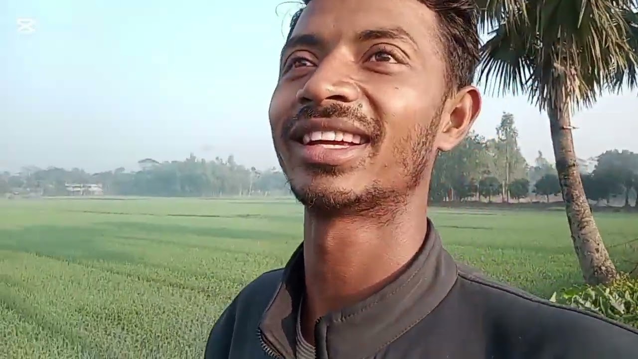আলহামদুলিল্লাহ তাল গাছে  টিলা দিলাম ও তার পরের দিন রস সংগ্রহ করলাম।