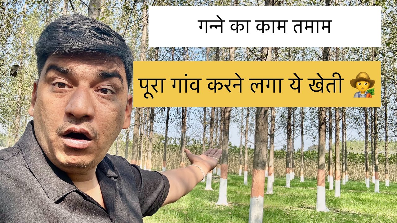 ऐसा क्या है इसमें 14 बीघे में 28 लाख!! 