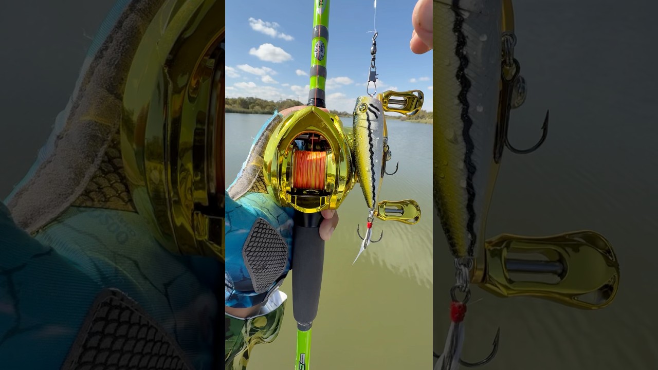 Tips Casting a Baitcaster with top water#fishing#tips#fish#shortvideo#shorts#short#viral#youtube#pes
