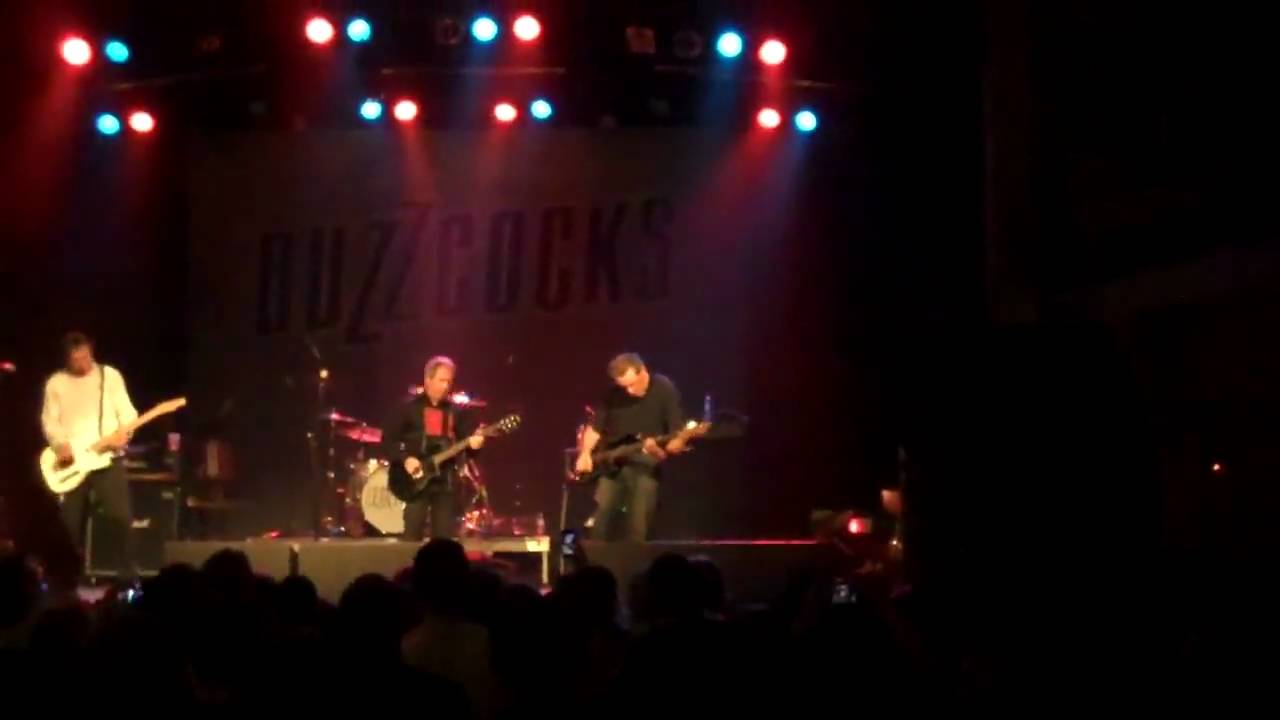 The Buzzcocks  with  Steve Garvey