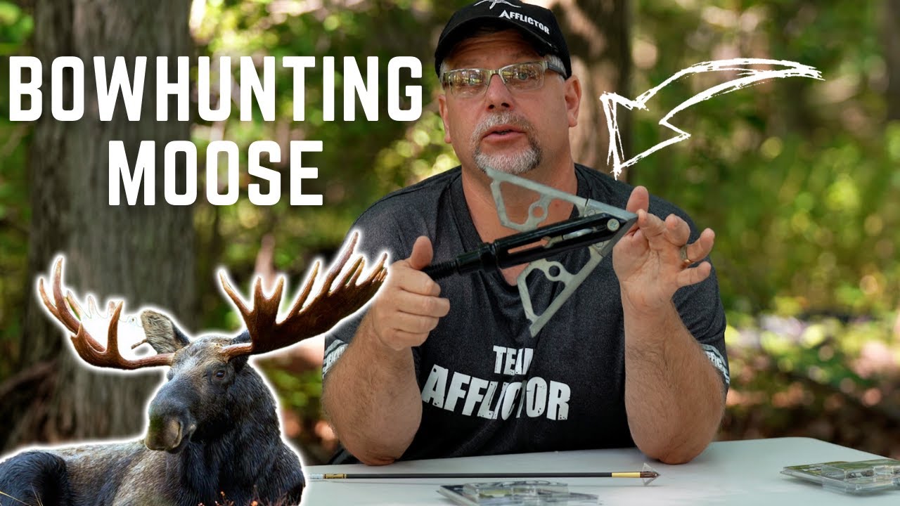 Best Broadhead Choice for Bowhunting MOOSE