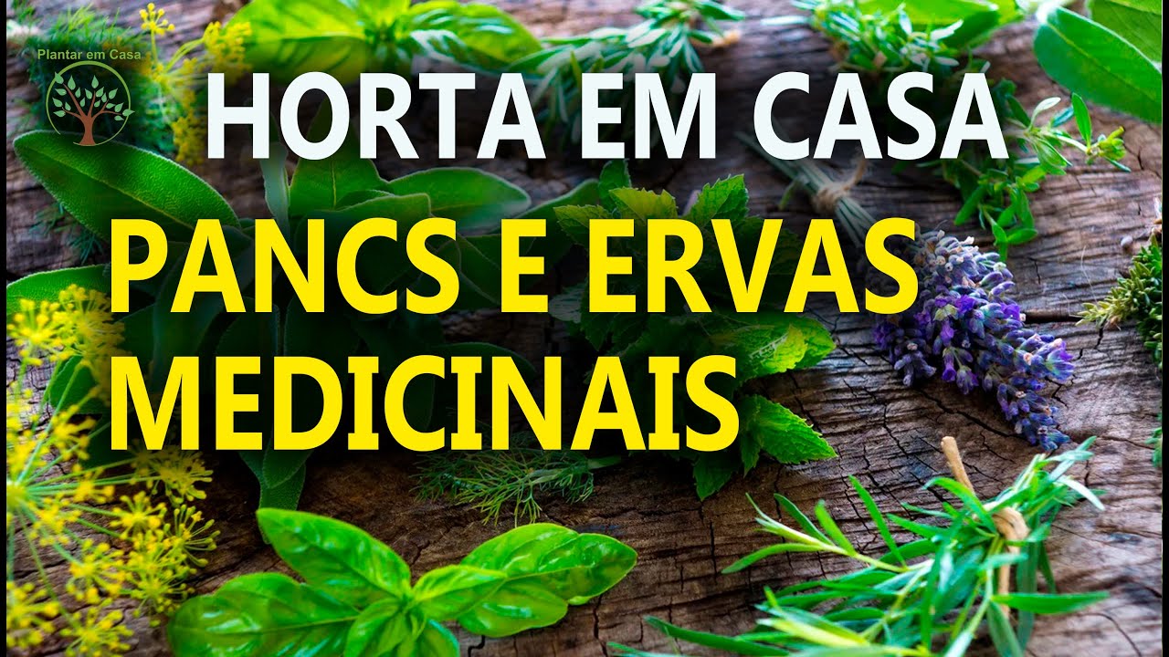 Vivendo em Natureza, mais um exemplo a ser mostrado Plantar em Casa