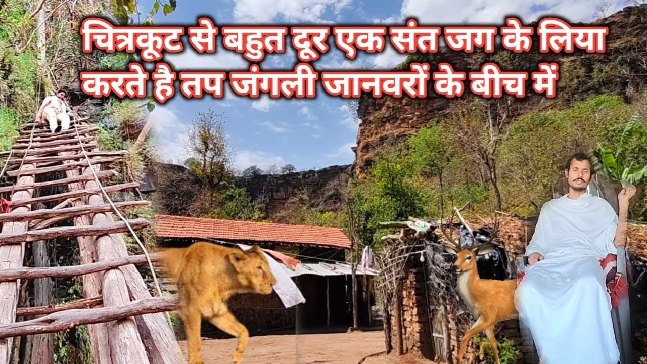 चित्रकूट से बहुत दूर एक संत जग कल्याण के लिए करते है तप जंगली जानवरों के बीच में