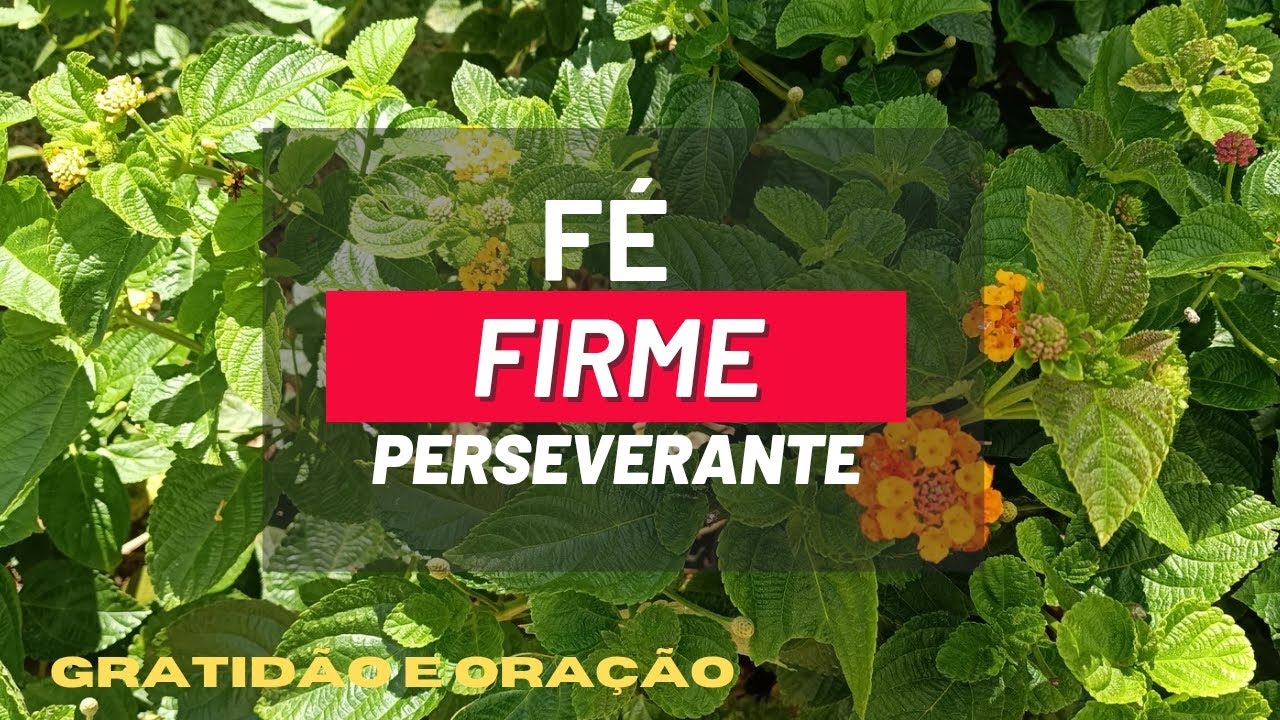 Oração de hoje - São Paulo Miki. Oração de fé e coragem 