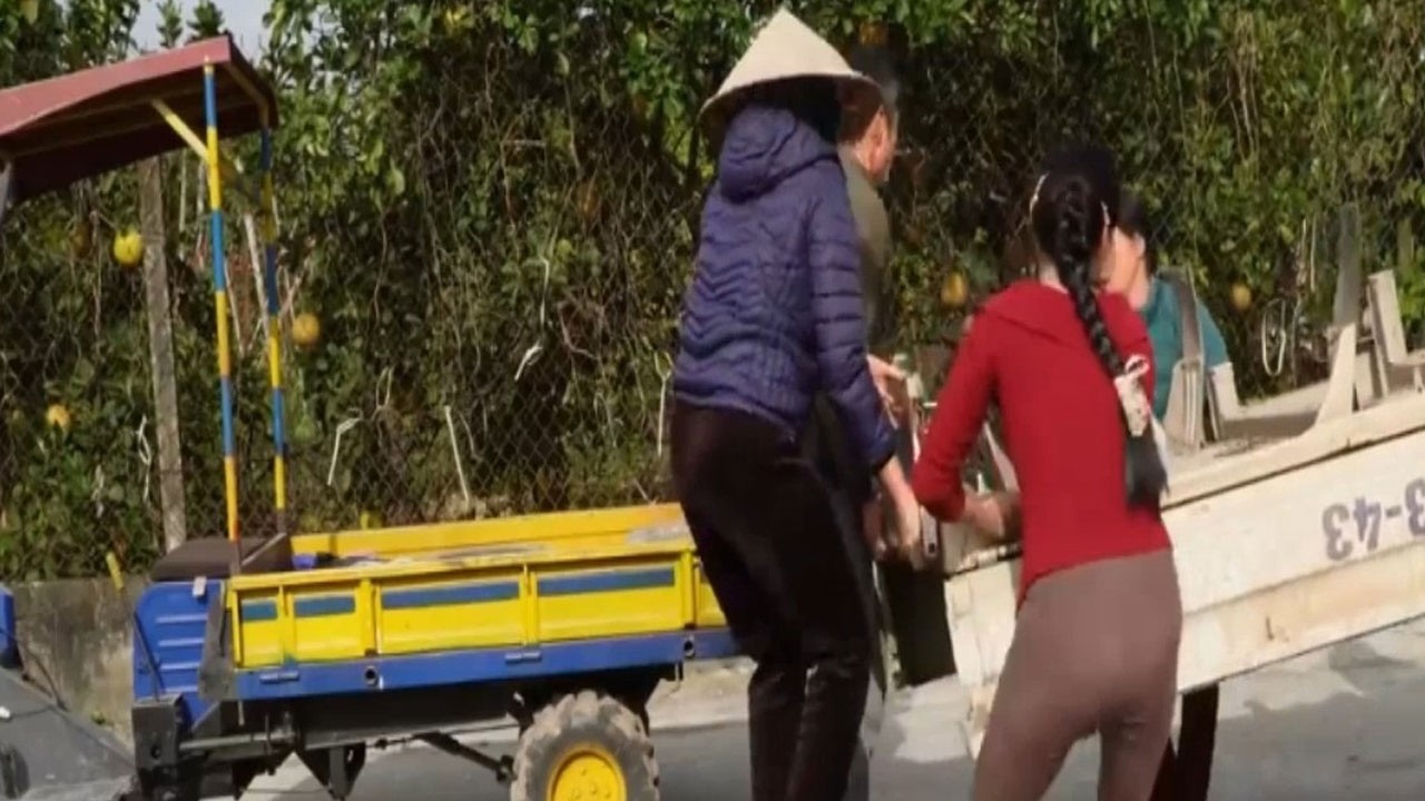 Orphan Family Struggling Together 💔 | Hard Life Reality #reel #viral #orphan #usa #strugglelife