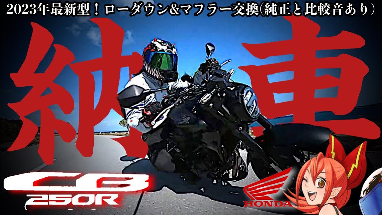 【納車】CB250Rの2023年型は神バイク決定！カスタム紹介有【マフラー交換、音質比較&ローダウンキット装着！HONDA(ホンダ)】