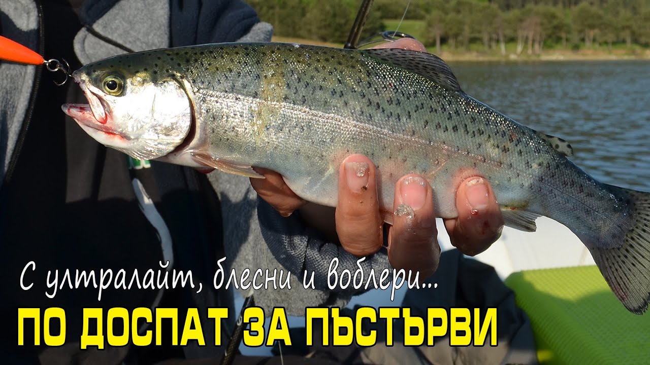 По Доспат за пъстърви