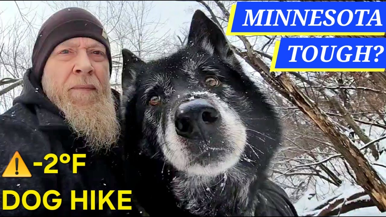 Minnesota Tough? - Kurgan the Blue Bay Shepherd on an ARCTIC -2°F Snow Hike ❄️