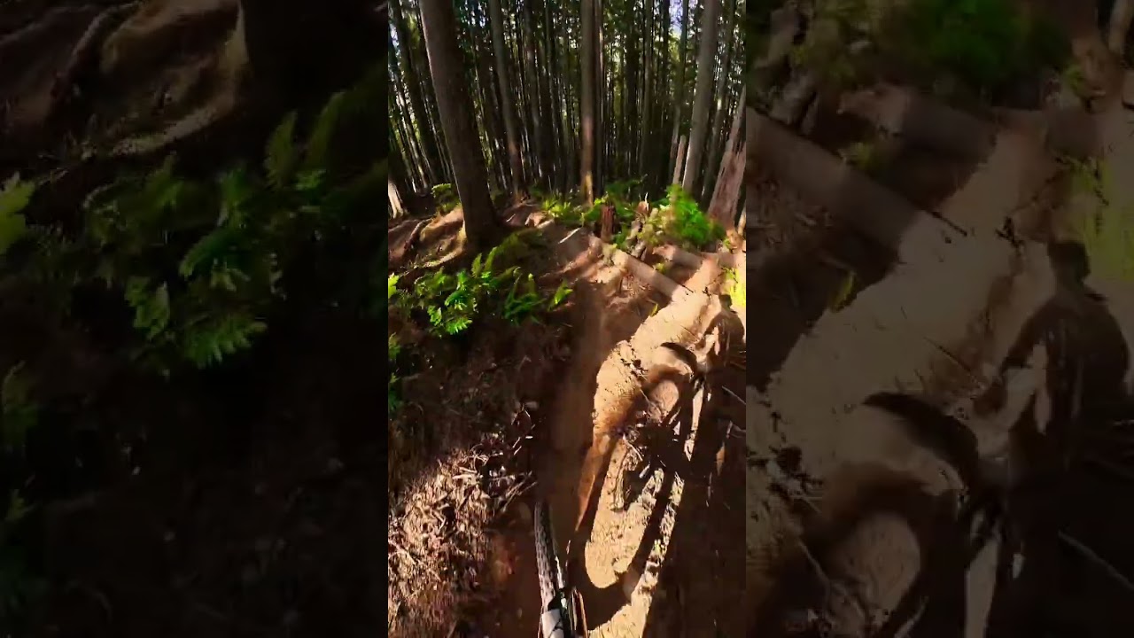 #MountainBiking