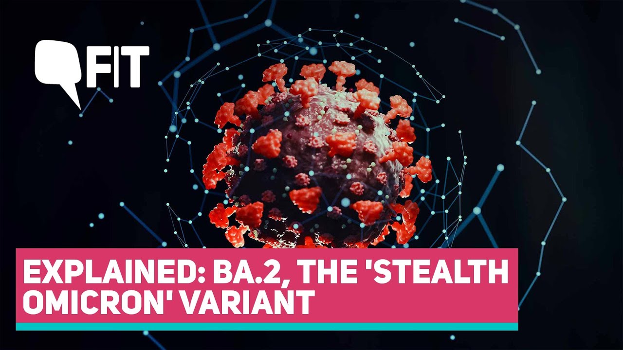 BA.2 Explained | What to Know About the &lsquo;Stealth Omicron&rsquo; Variant | the Quint
