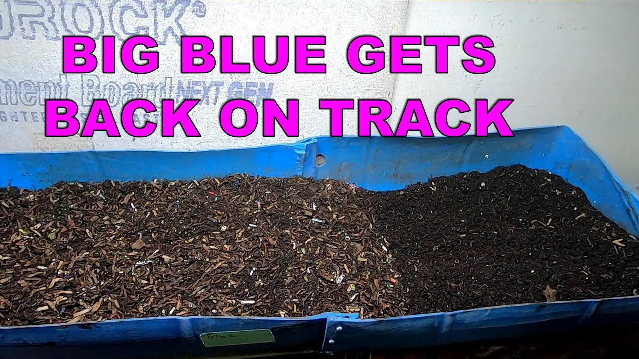 55 GALLON DIY WORM BIN WEDGE METHOD