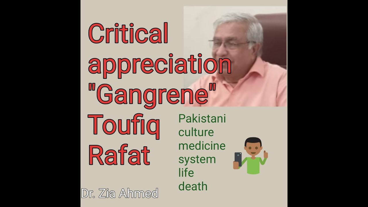 Critical Appreciation of Rafat's poem 