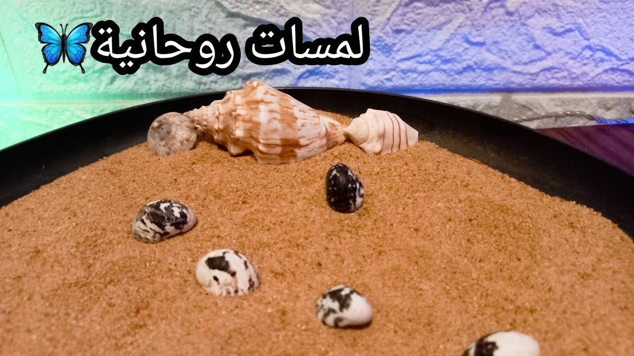 حصري خيرة بالودع لبرج العذراء♍️🔥مدتها شهر من الان🪬انوي واضمر النية وافتح الفيديو تبعك♨️🎞