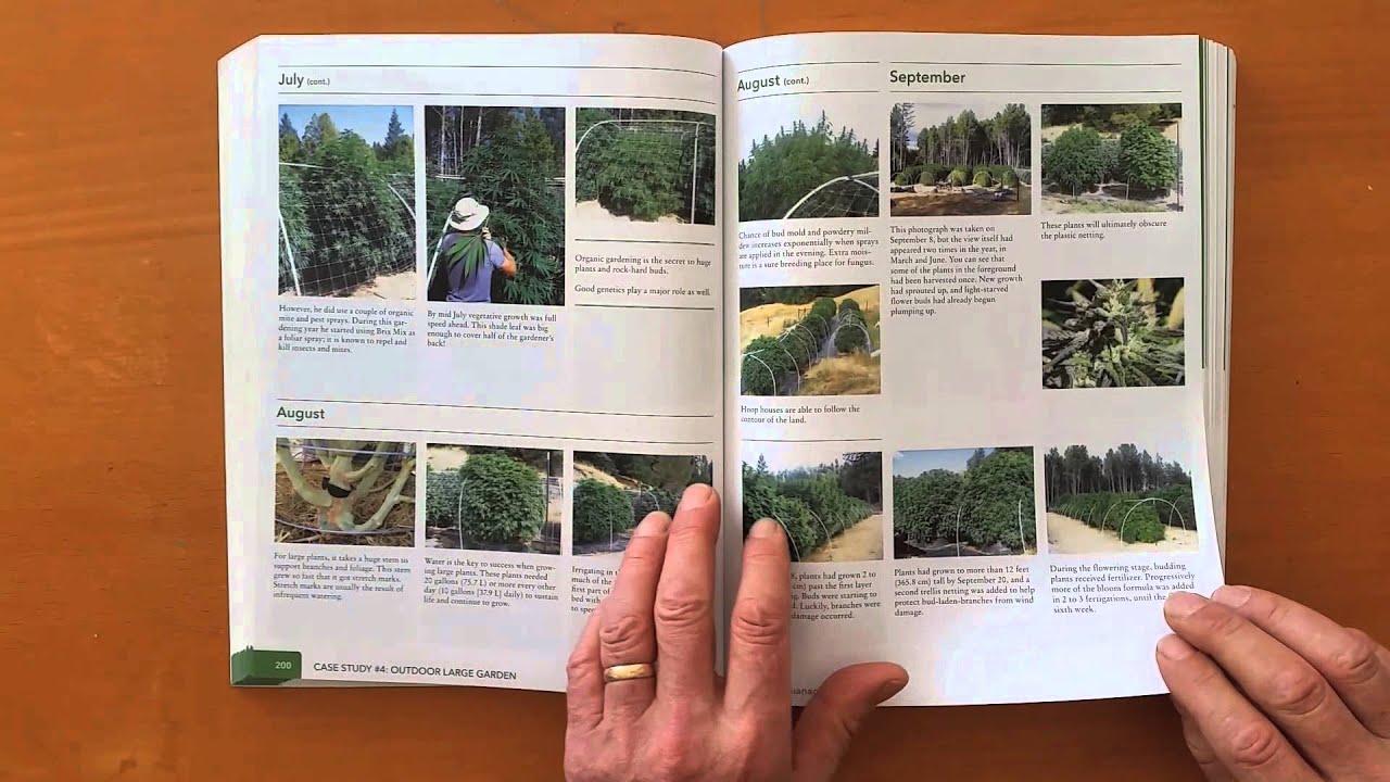 Grow Cannabis &ndash; The Cannabis Encyclopedia &ndash; by Jorge Cervantes