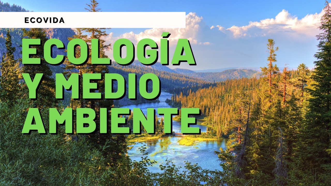 ECOLOG&Iacute;A y MEDIO AMBIENTE (VIDEO EDUCATIVO) ✅