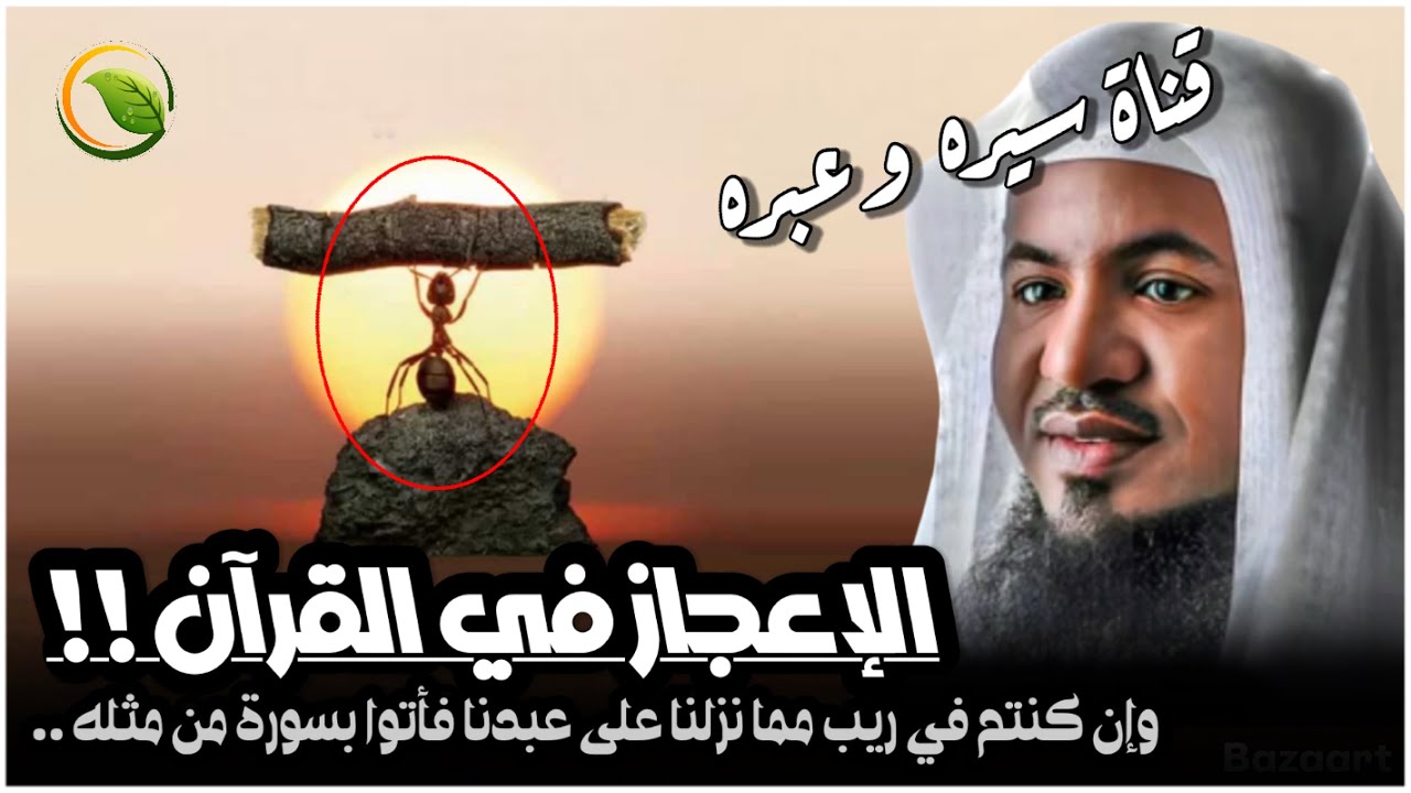 محمد الشنقيطي - الاعجاز العلمي في القران | وإن كنتم في ريب مما نزلنا على عبدنا فأتوا بسورة من مثله