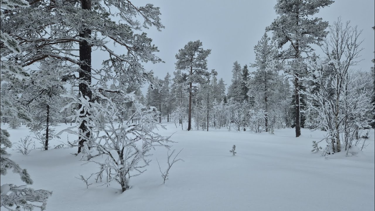 Strenghtening healingenergy coming your way. Loved ones behaving! Their journey is theirs! Love ♥️