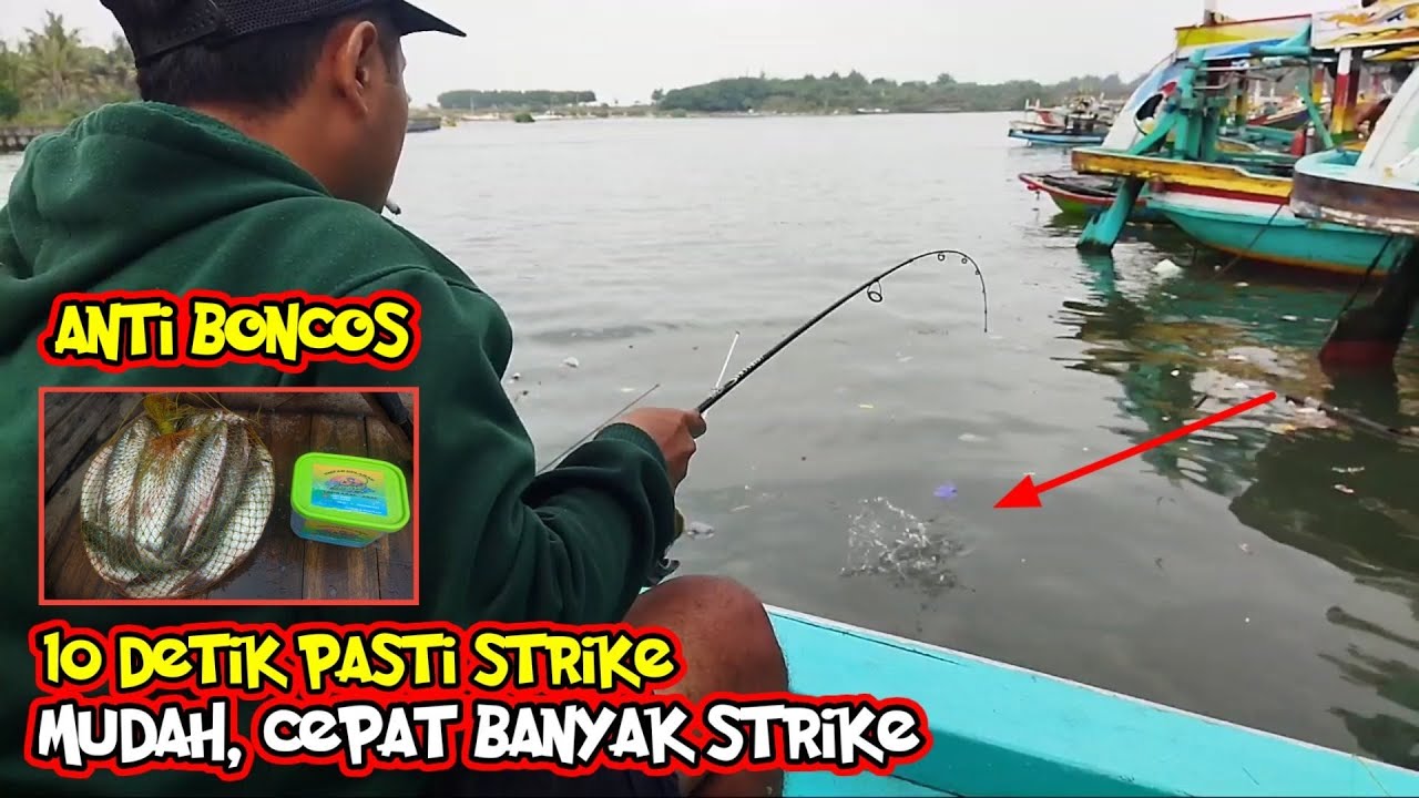 THE FASTEST TECHNIQUE FOR FISHING MULLET || UNTIL YOU'RE OVERWHELMED