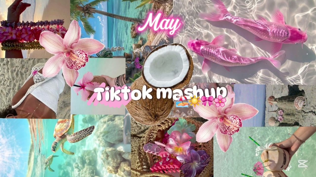 ☀️~Tiktok mashup~🌸