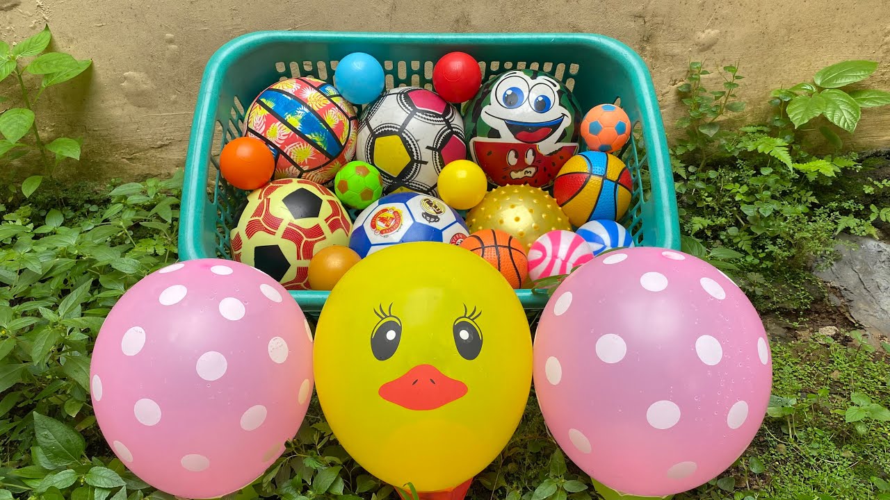 Mencari Bola Basket, Bola Semangka, Bola Sepak, Mobilan, Kelinci, Bebek, Truk, Tayo, Balon 69