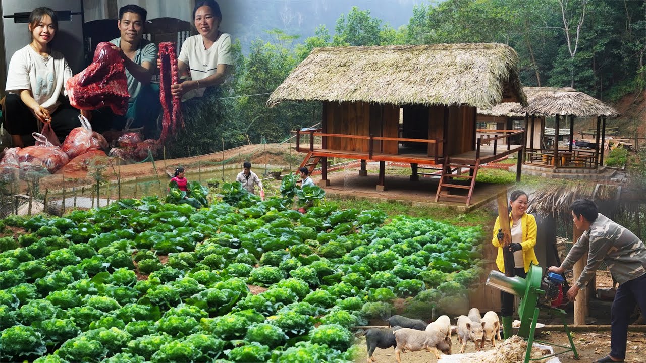 TIMELAPSE: 360 Days Building a Farm in the Forest, P8( Economic development - Wedding organization )