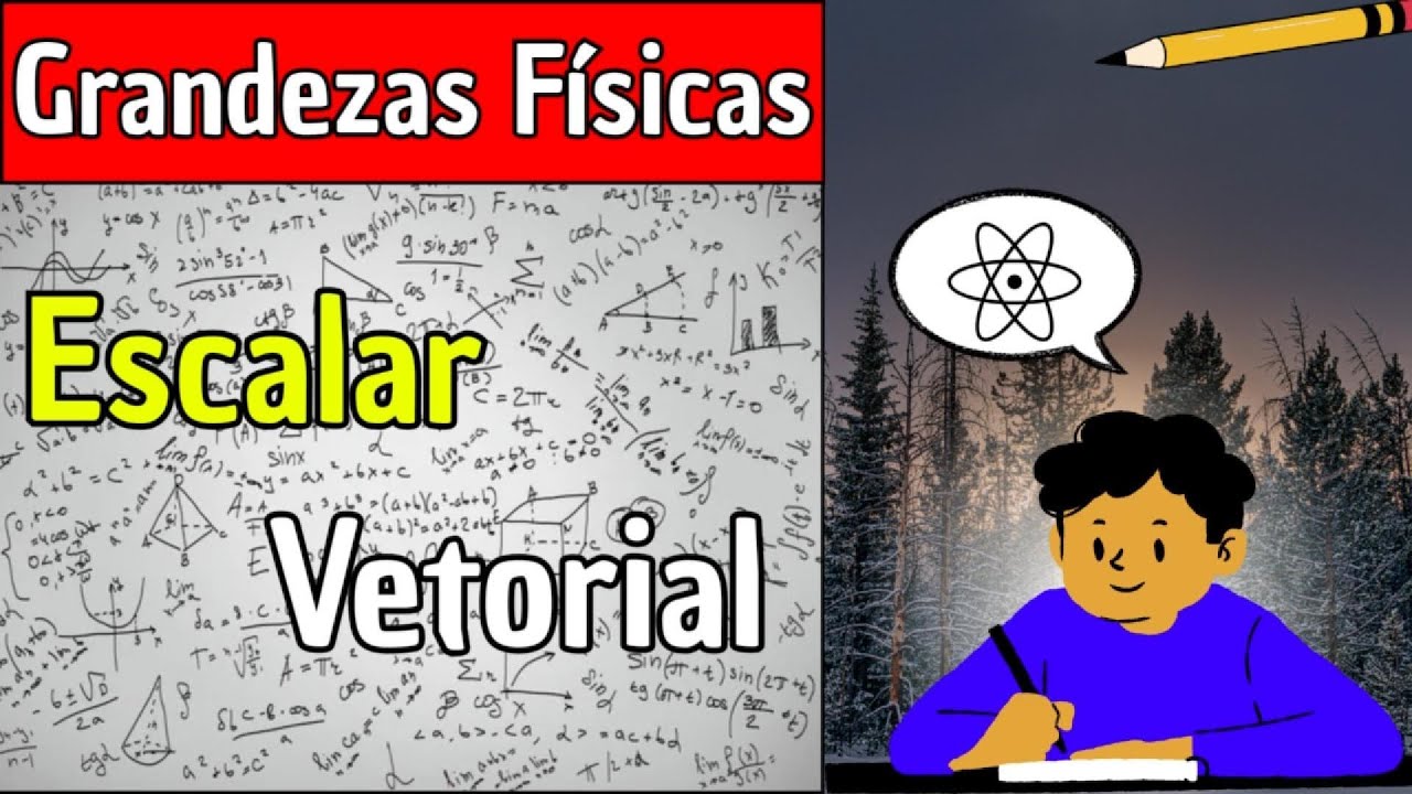 Grandezas Escalares e Vetoriais, Saiba Diferencia-las