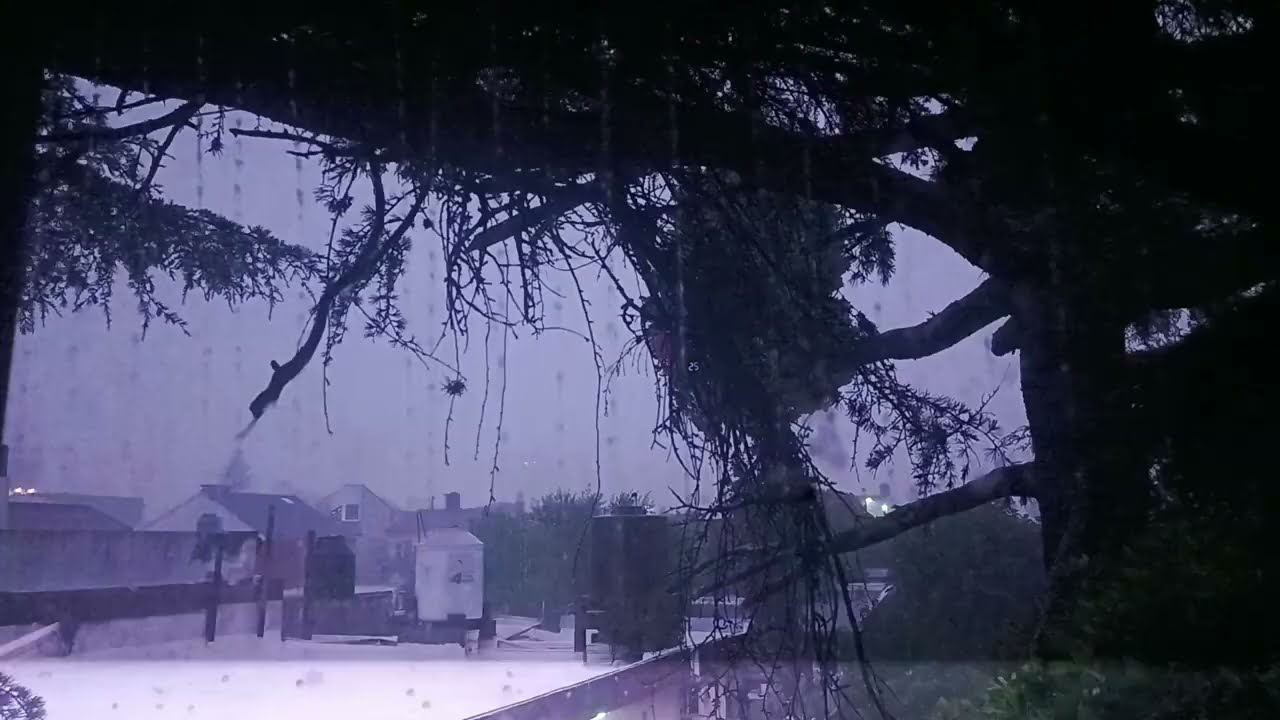 Crows