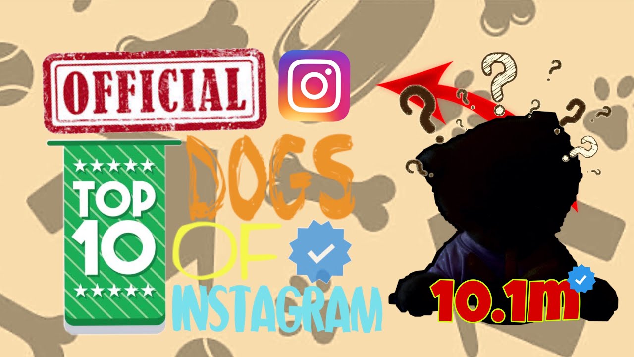 Official Top 10 Dogs On Instagram (MARNIE THE DOG TRIBUTE)