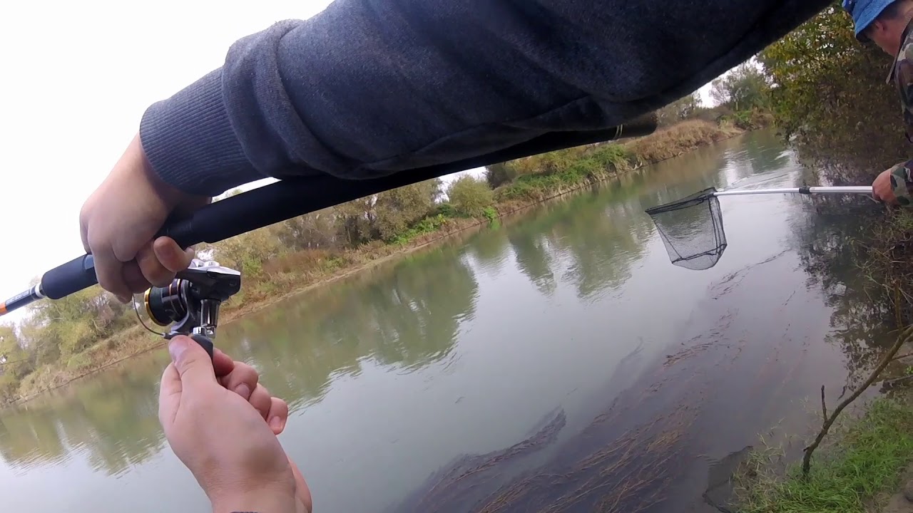 PIKE SPINING -SRKI