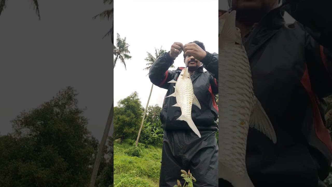 lockdown, fishing, entertainment, Hillson, Nijo Paul