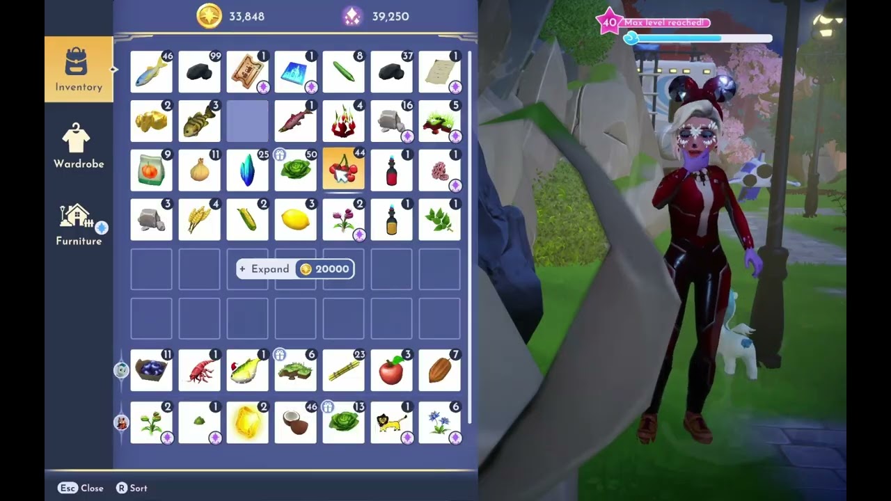 completed the floating island puzzles
