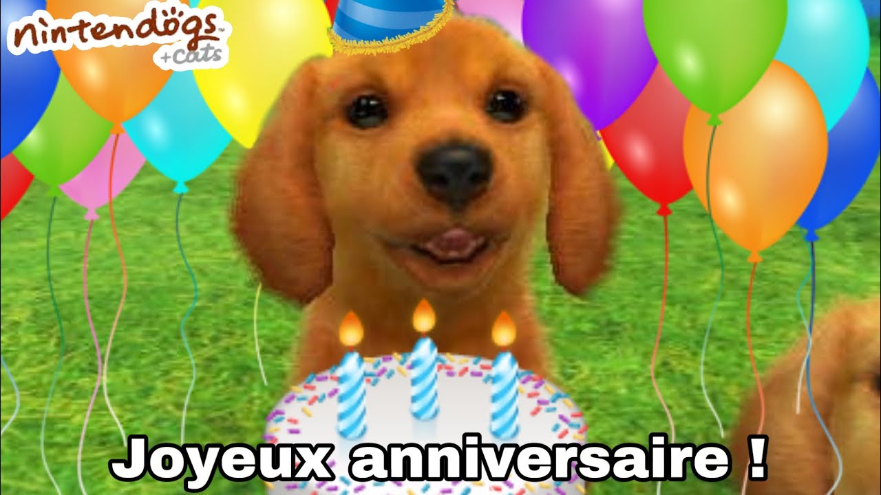 JE FÊTE L’ANNIVERSAIRE DE MON CHIOT SUR NINTENDOGS + CATS ! 🥳