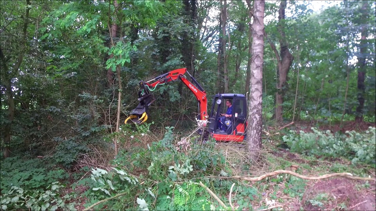 Unterholz entfernen - Flächen Rodung