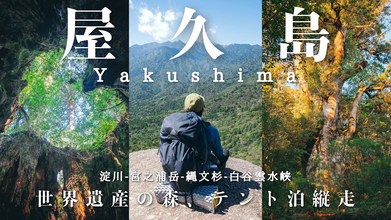 【テント泊登山】世界遺産の森・屋久島縦走｜淀川-宮之浦岳-縄文杉-白谷雲水峡