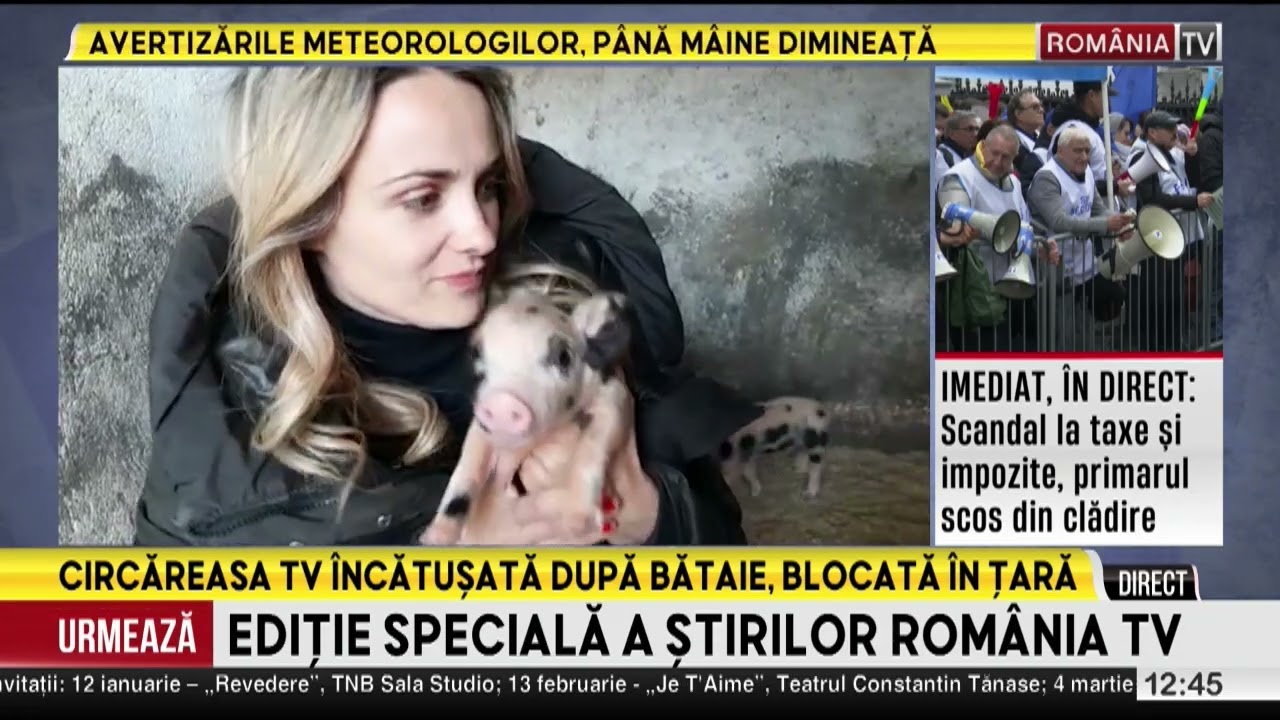 Circăreasa TV &icirc;ncătușată după bataie, blocată &icirc;n țară