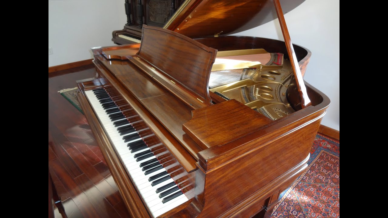 Five Popular Hits of the Day (1927-1930) on a 1922 Steinway Duo-Art Grand