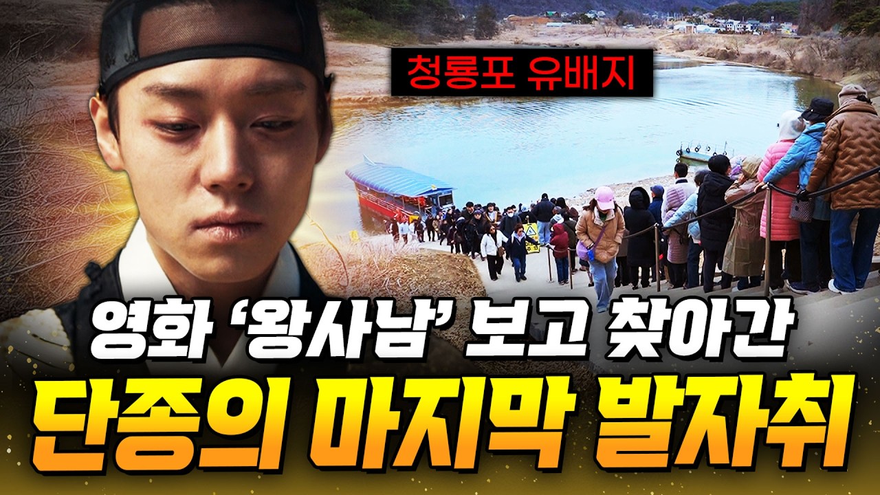 영화 「왕과 사는 남자」보고 몰려간다! 단종의 눈물이 흐르는 영월 청령포｜교양있게