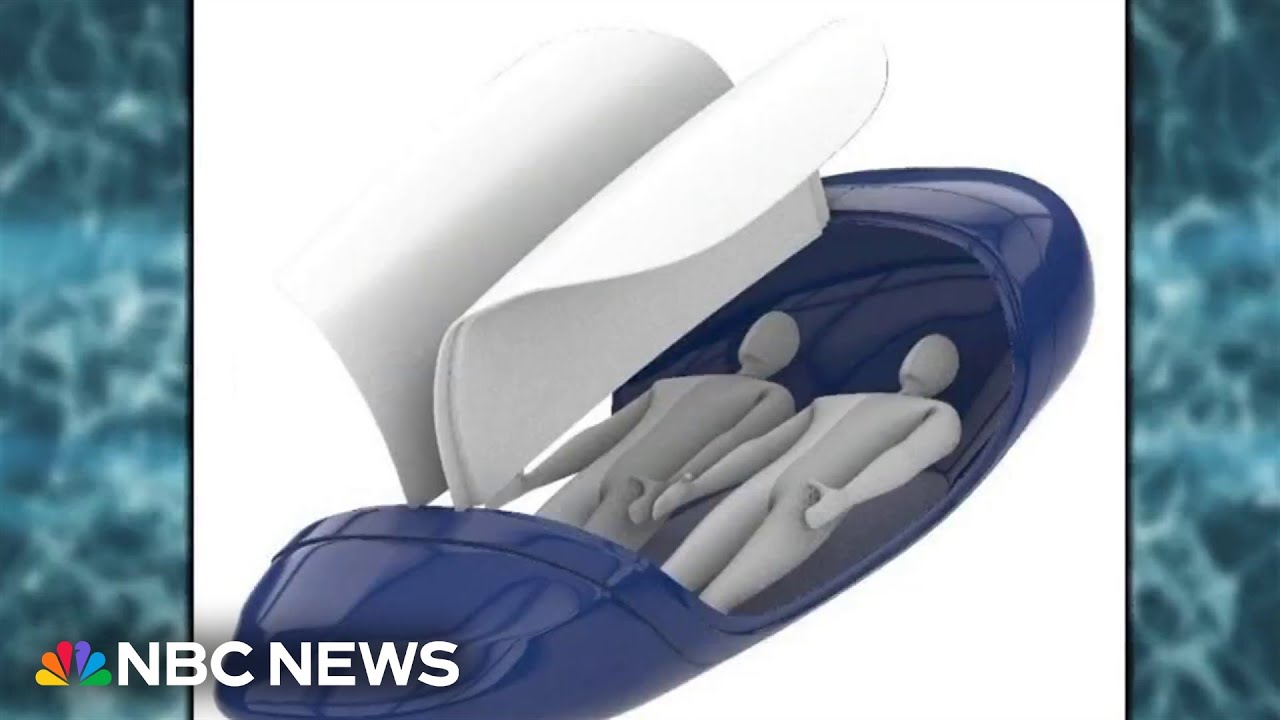 Controversial 'suicide pod' could potentially use AI-powered feature
