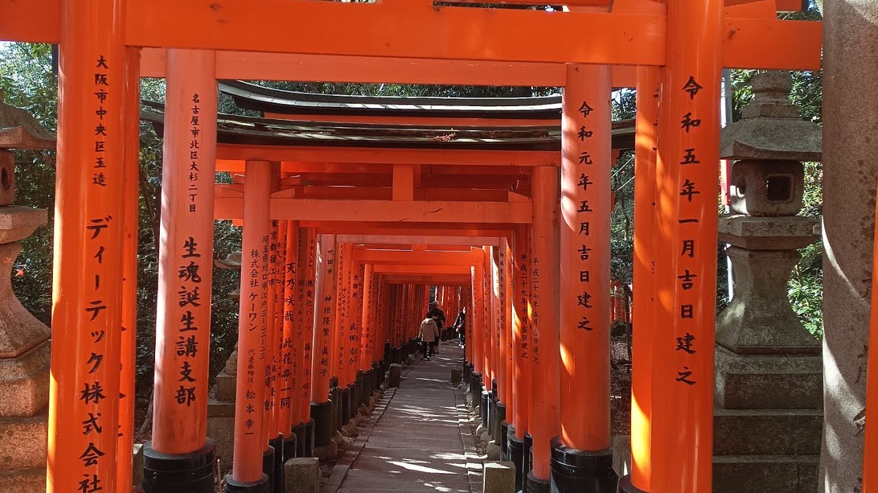 A glimpse of the divine Fushimi inari Taisha shrine,Kyoto#viral#youtube#trending#shortvideos
