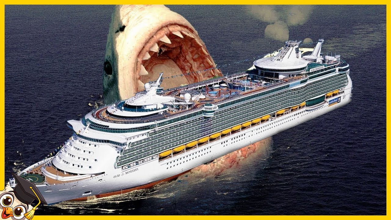 20 Gevaarlijkste Zee Monsters Die Zijn Uitgestorven