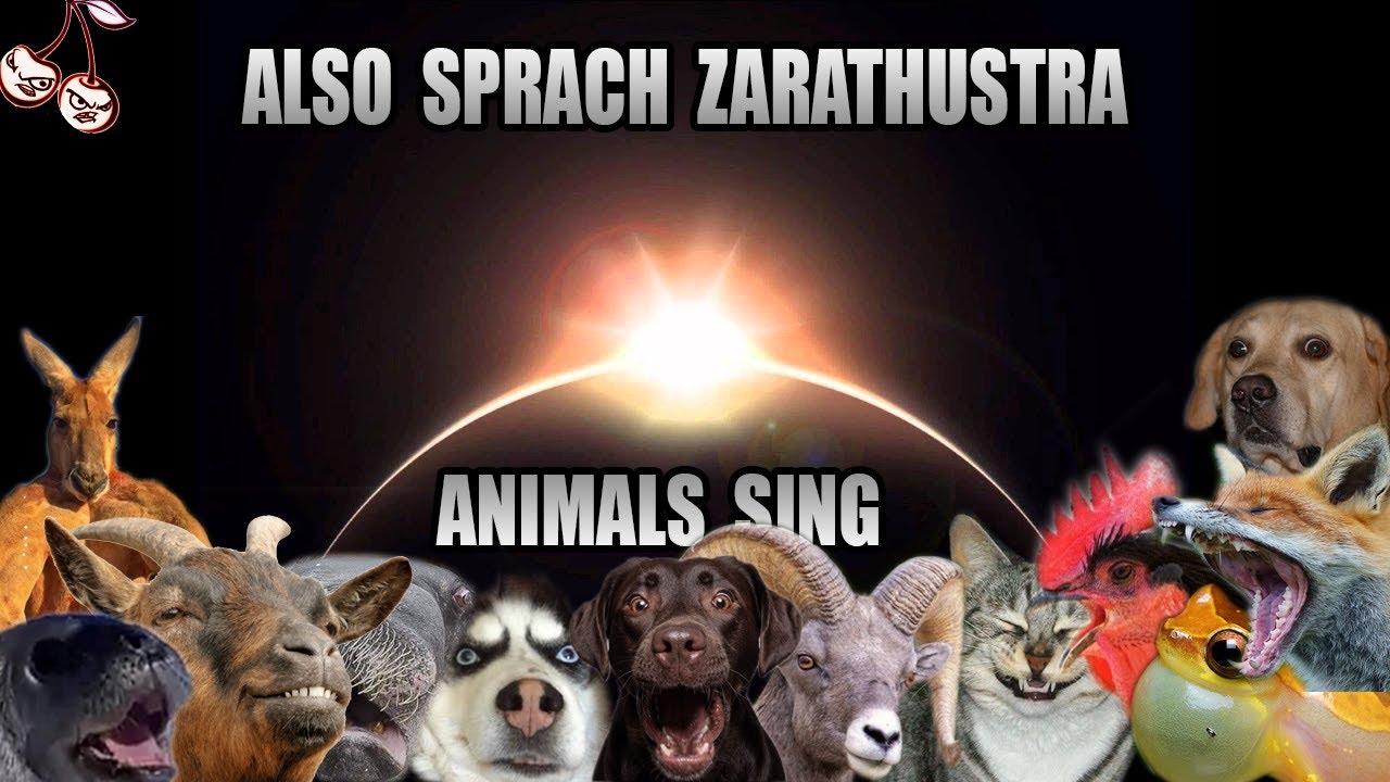 Richard Strauss - Also Sprach Zarathustra (Animal Cover)