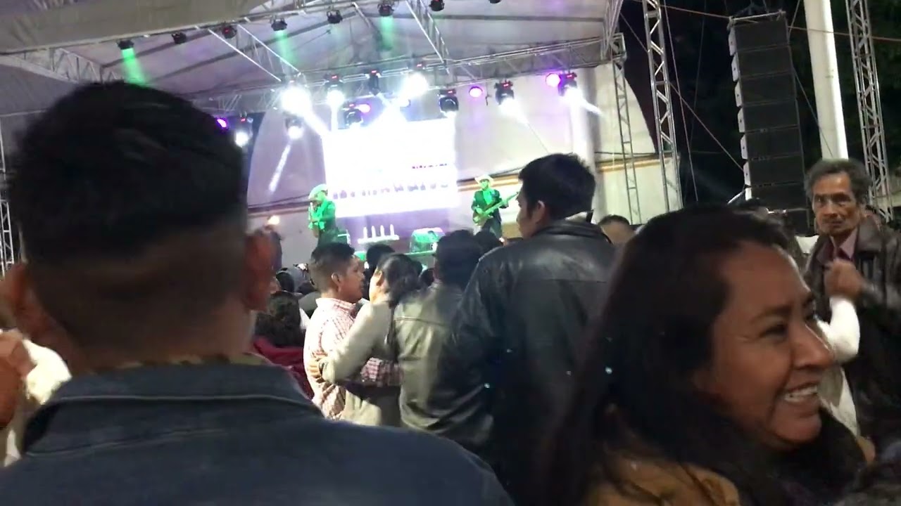 Los armadillos en San Miguel suchixtepec.