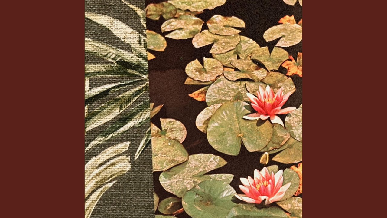 Black Lotus