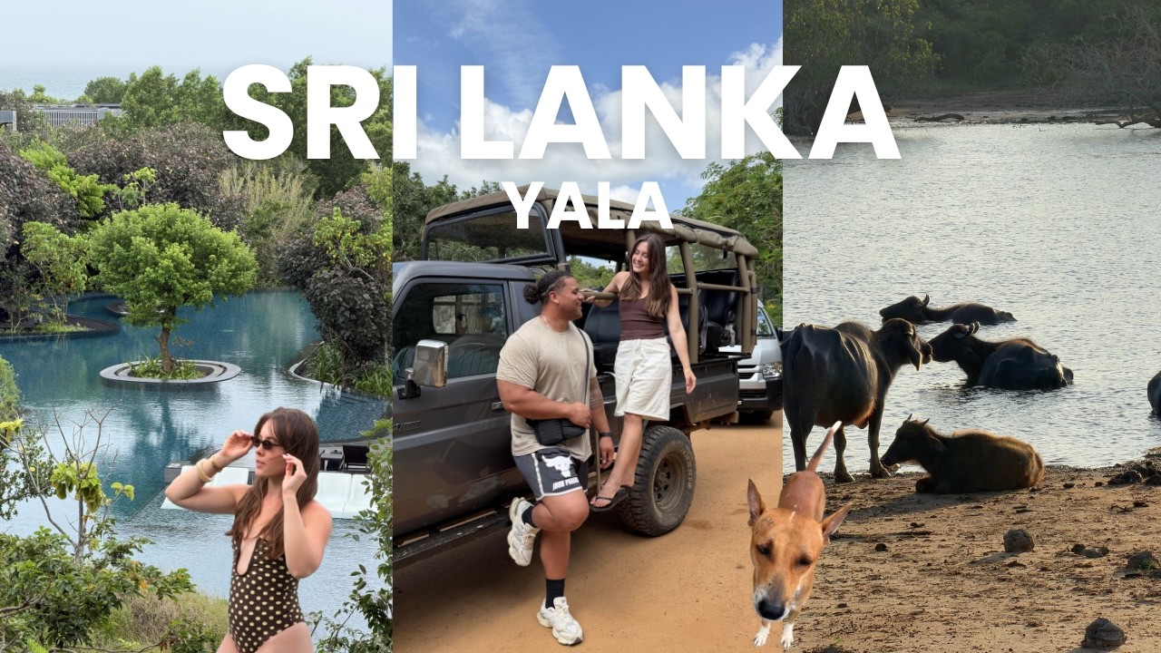 YALA SRI LANKA VLOG 2026 (Safari, The Hilton, the best food and more)
