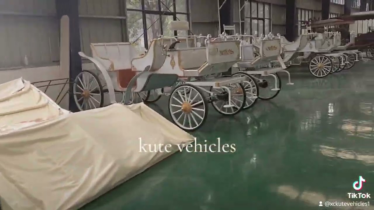 Special promotion before Christmas, dozens of horse carriage and classic car have in stock