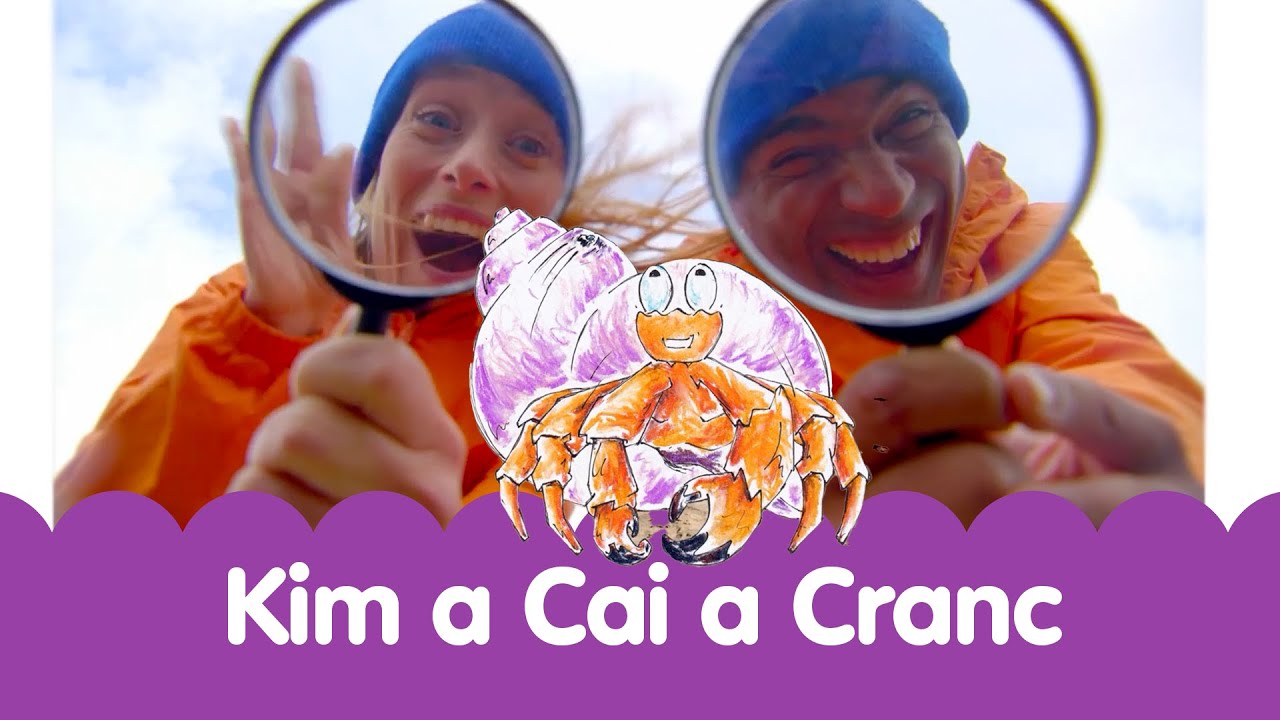 🦀 Kim a Cai a Cranc 🦀 | Welsh Toddlers Fun Dance Crab Movement Learning Show