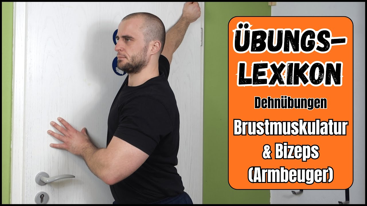 Brustmuskulatur & Bizeps (Armbeuger) - &Uuml;bungslexikon Dehn&uuml;bungen