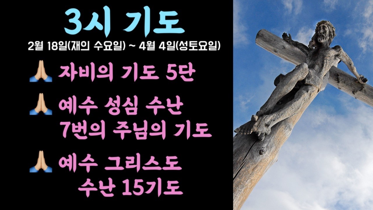 🌿 3시 사순절 40일 치유와 회복기도  #세레나의치유의숲 #자비의기도 #7번의주님의기도 #15기도#자비의5단기도  #비르지타의기도 #예수수난묵상기도 #사순절특별기도