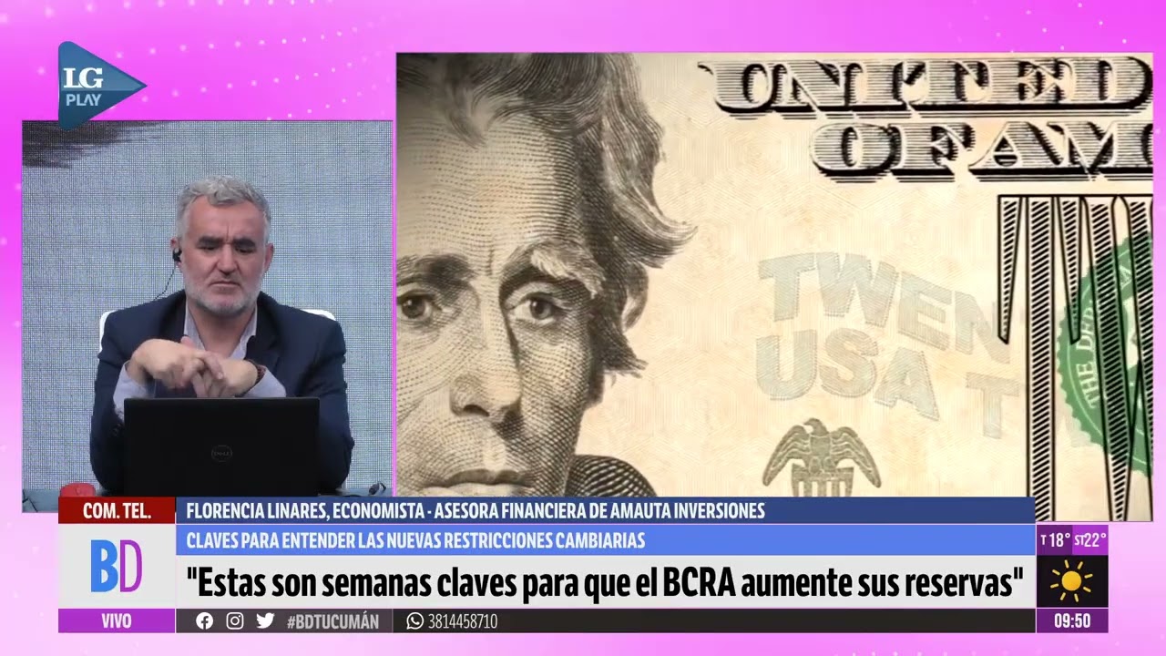 Las restricciones en la compra de dólar financiero, explicado por una especialista