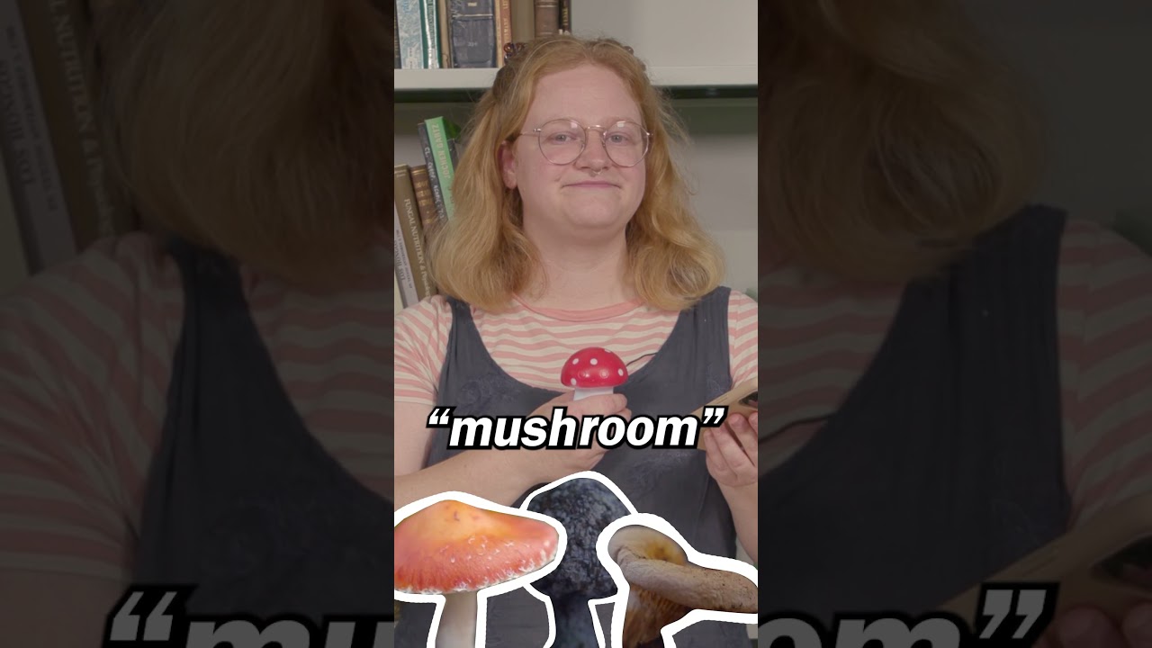 What is a Fungarium? #kew #kewgardens #fungi #mushroom